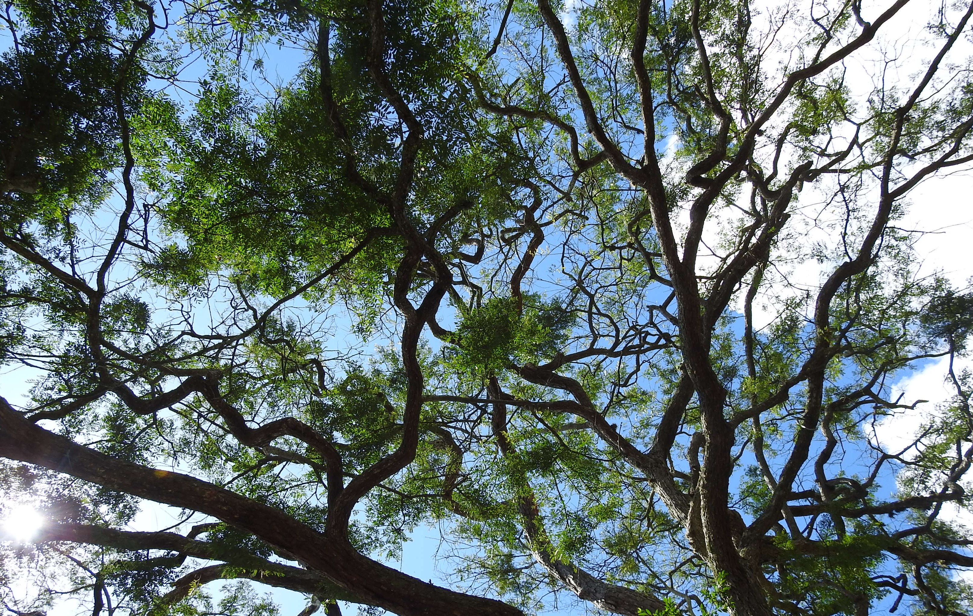 DSCN1051.JPG