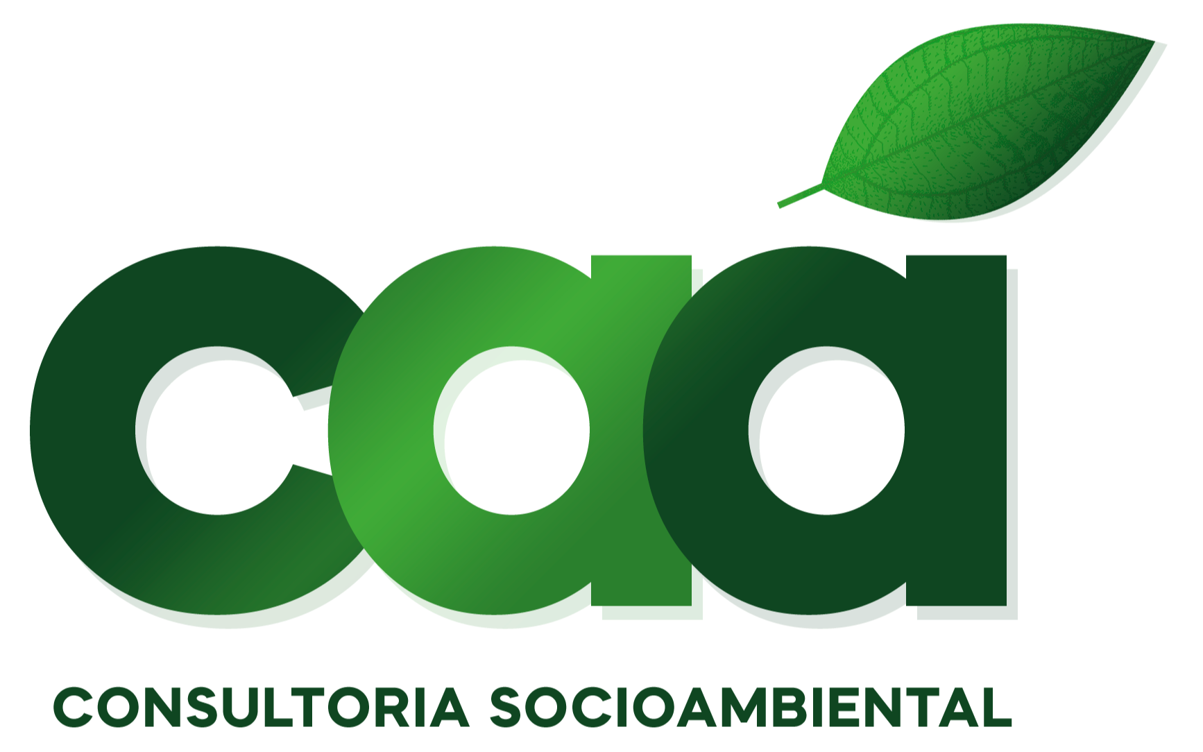 Caá Consultoria Socioambiental 