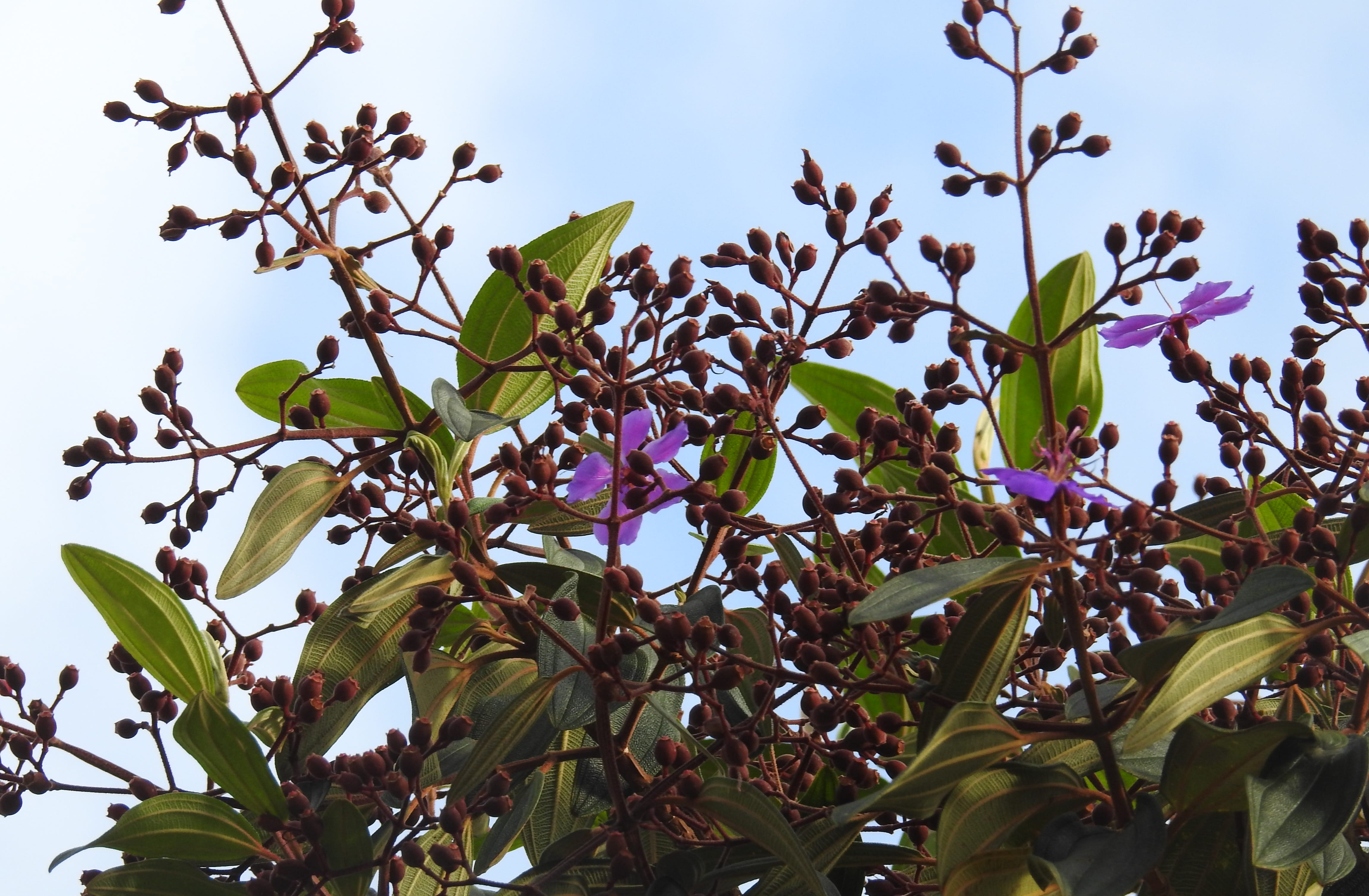 DSCN1328.JPG